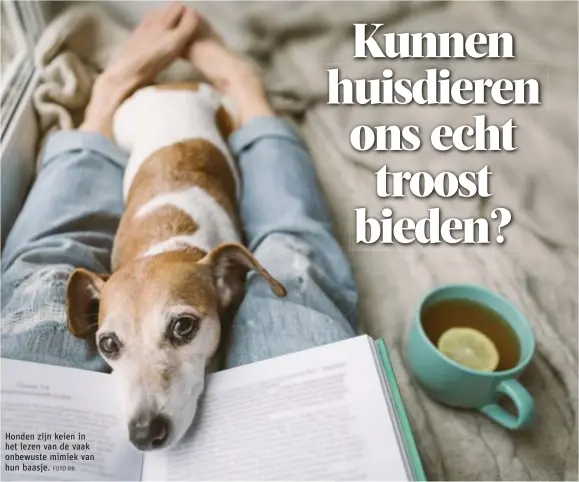  ?? FOTO RR ?? Honden zijn keien in het lezen van de vaak onbewuste mimiek van hun baasje.