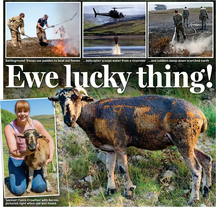  ??  ?? Battlegrou­nd: Troops use paddles to beat out flames Saviour: Claire Crowther with Bernie, pictured right when she was found ... helicopter scoops water from a reservoir ... and soldiers damp down scorched earth