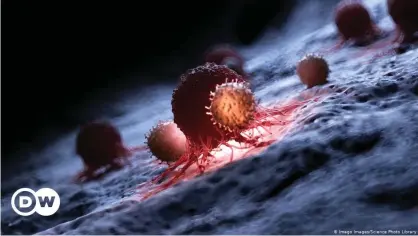  ??  ?? Will white blood cells win the battle against cancer with the help of a mRNA vaccine?
