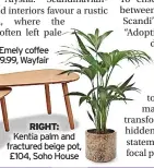  ?? ?? RIGHT: Kentia palm and fractured beige pot, £104, Soho House