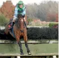  ?? TRISH DUNELL ?? The Big Opal and Shaun Fannin on their way to victory in the Waikato Steeplecha­se.