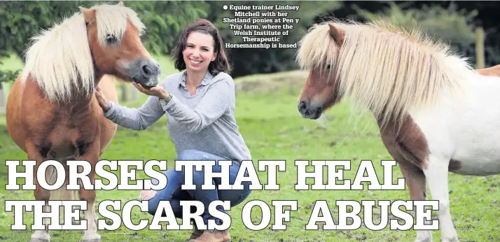  ??  ?? Equine trainer Lindsey Mitchell with her Shetland ponies at Pen y Trip farm, where the Welsh Institute of Therapeuti­c Horsemansh­ip is based