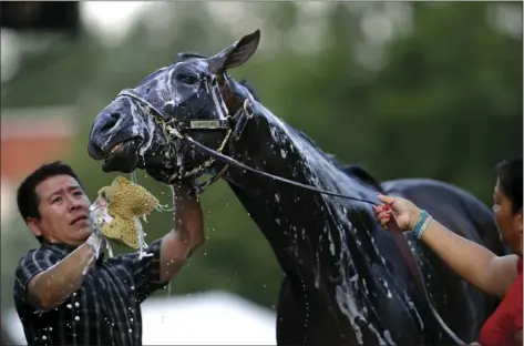  ?? AP PHOTO ?? Kentucky Derby winner Always Dreaming is washed after a walk on the track at Pimlico Race Course on Friday in Baltimore.