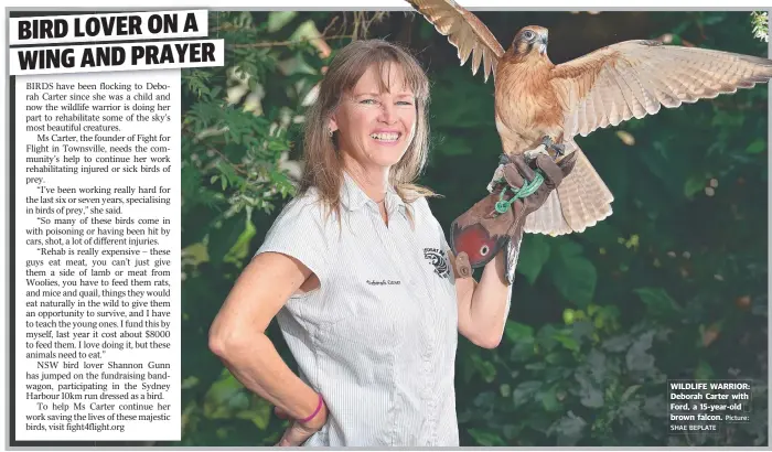  ?? SHAE BEPLATE Picture: ?? WILDLIFE WARRIOR: Deborah Carter with Ford, a 15- year- old brown falcon.