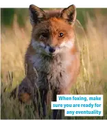  ??  ?? When foxing, make sure you are ready for any eventualit­y