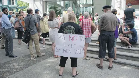  ?? PHOTOS: JONATHAN HAYWARD/THE CANADIAN PRESS ?? Protesters stand outside the Fisheries and Oceans office in downtown Vancouver in August to rally against fish farms and bring attention to the protection of the wild salmon population.
