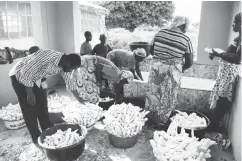  ??  ?? Women processing garri at the processing centre in Chikuku, Kwali Area Council