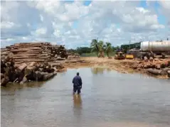  ??  ?? Access to log storage at Sepik River, where logs are loaded on barges carrying them to ships anchored in the Sepik River mouth (Global Witness)