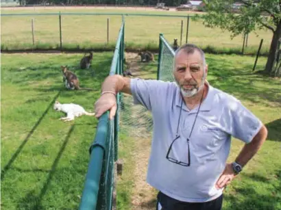  ?? FOTO PPN ?? Jos Gofflo bij zijn kangoeroes. “Er gaat zo veel aandacht naar die wolf dat we de vossen vergeten.”