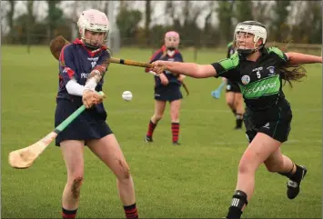  ??  ?? Aisling Byrne strikes goalwards for Presentati­on as Mia Murray attempts the hook.
