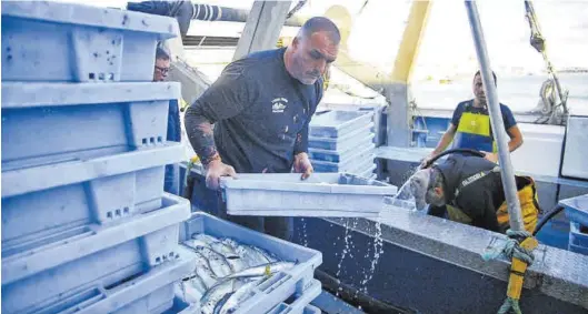  ?? ERIK PRADAS ?? Varios marineros descargan cajas de pescado en la Lonja del Grau de Castelló tras su llegada al puerto, en una imagen del pasado mes de diciembre.