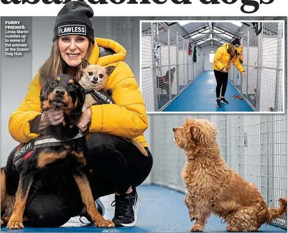  ?? ?? furry friends: Linda Martin cuddles up to some of the animals at the Dublin Dog Hub