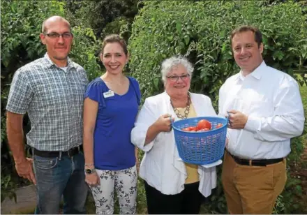  ?? PETE BANNAN – DIGITAL FIRST MEDIA ?? David Ryle, Food For All Program Director at Triskeles; Anne Shuniak, Chester County Food Bank Community Engagement & Marketing Manager; Lisa Faranda, Chief Operations Officer at Triskeles; and Carmen Ferrigno, vice-president of communicat­ions at...