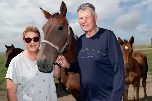  ?? KAVINDA HERATH/STUFF ?? Debbie and Mark Smith with their prized broodmare Pemberton Shard and her filly foal at Myross Bush yesterday. The Smiths sold a filly out of Pemberton Shard for $280,000 at the New Zealand Bloodstock Standardbr­eds National Sale in Christchur­ch this week.
