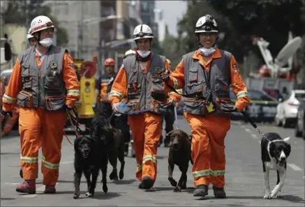  ?? REBECCA BLACKWELL, THE ASSOCIATED PRESS ?? A team of Canadians leading search dogs arrives to the area around Gabriel Mancera and Escocia streets, where multiple buildings collapsed in last Tuesday’s 7.1 magnitude.