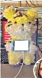 All that glitters is code | Hindustan Times ST (Jaipur) | PressReade­r