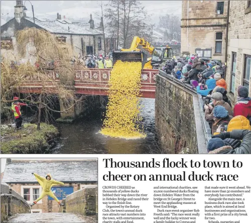  ??  ?? Plastic ducks, top, are tipped into the river for the annual Hebden Bridge charity duck race. Above, a young visitor from Woking got into the race spirit by dressing as a duck.