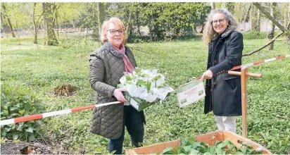  ?? FOTO: WOI ?? Marlene Conrads (l.) vom Heimatvere­in Reuschenbe­rg und Henrike Mölleken von der Stadt Neuss wollen verhindern, dass es bald keinen Bärlauch mehr im Selikumer Park gibt.