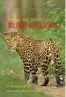  ??  ?? SCIENCE AND CONSERVATI­ON OF WILDLIFE POPULATION­S K Ullas Karanth Natraj Publishers | 895 | 451 pages
