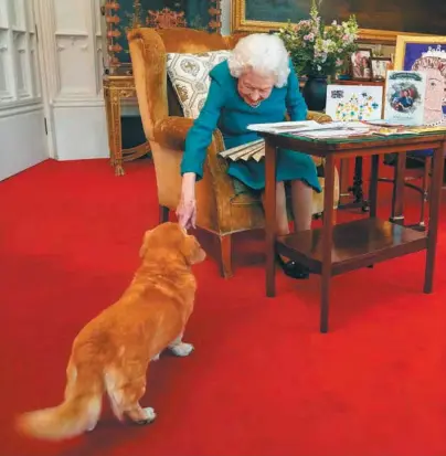  ?? / AFP ?? La reina Isabel II acariciand­o a Candy, su perro corgi, en el Castillo de Windsor.