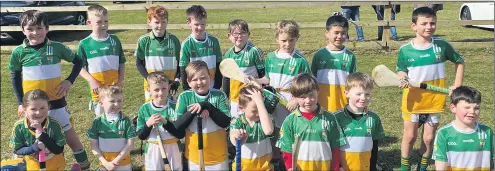  ?? ?? Picture of Bride Rovers U9’s v Glanworth.