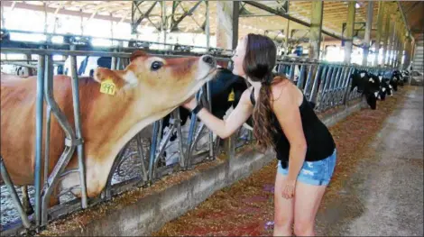  ?? LISA MITCHELL - DIGITAL FIRST MEDIA ?? The Lesher family of Bernville received the 2018 Berks County Outstandin­g Farm Family, sponsored by the Berks County Grange and the Reading Fair. Olivia Lesher, 16, pictured in the dairy barn.