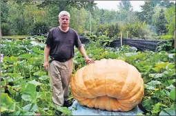  ??  ?? Brian Kenneally of New Minas is getting ready to harvest his giant pumpkin for the Annapolis Valley Giant Vegetable Growers Competitio­n and Weighoff.