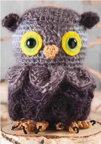  ??  ?? Whooo wouldn’t want to hug this cute little fella!? Make him for a special friend or to grace your home this fall.