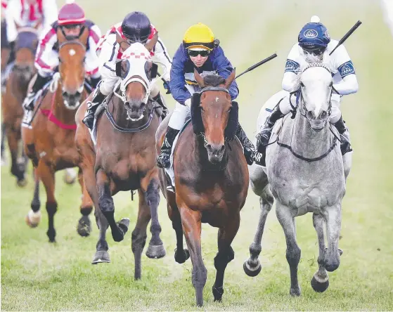  ?? Picture: GETTY IMAGES ?? Jockey Damien Lane urges Aristia (second from right) to victory in the Group 1 VRC Oaks at Flemington.