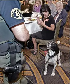  ?? Dan Watson/The Signal ?? SCV Sheriff’s Foundation Board President-elect Gloria Mercado-Fortine and her husband, Bruce Fortine, look on as narcotics detection dog Jack searches for the scent of drugs in the audience during the Valley Industry Associatio­n’s October luncheon, which was held at the Hyatt Regency Valencia on Tuesday.