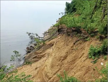  ?? ANDREW CASS — THE NEWS-HERALD ?? Bill Stanton Community Park’s land has a very high-pressure water table, which causes blowouts and slumping on the face of the bluff above the lake. The displaced soil slides to the bottom of the bluff and is then washed away.