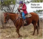  ?? ?? Ruby on horseback