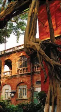  ??  ?? A red-brick building partly shaded by old banyan trees presents the oldest traces of the southern Fujian culture. VCG