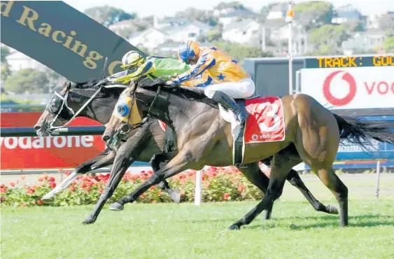  ?? Photo / Supplied ?? Crown Prosecutor comes through to win the New Zealand Derby ahead of In A Twinkling on Saturday.