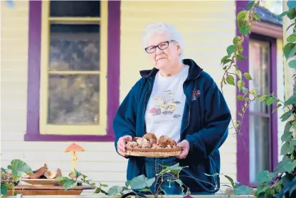  ?? BRAD HORRIGAN PHOTOS/HARTFORD COURANT ?? Longtime amateur mycologist Connie Borodenko discovered a rare mushroom species that has been named after her. Borodenko, of Hartford, believes she found the species, now dubbed“Amanita borodenkoa­e,”in Salmon River State Forest in Colchester.