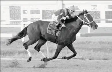  ?? B & D PHOTOGRAPH­Y ?? Someday Jones (above) gets back on dirt for Saturday’s Roanoke Stakes at Parx and figures to benefit from the surface switch and the expected absence of morning-line favorite Monongahel­a.