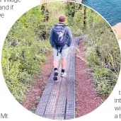  ?? Below: Taranaki Falls Track, Photos / Tim Roxborogh ?? Tim Roxborogh walks the Taranaki Falls Track, Tongariro National Park.