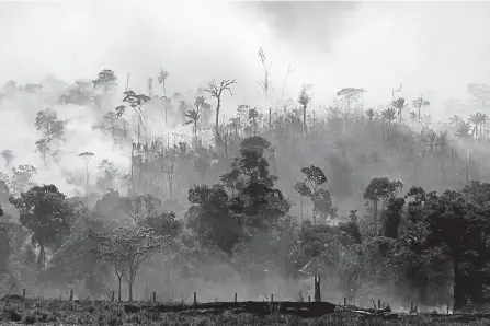  ?? Associated Press file ?? Fires across the Brazilian Amazon, such as this section in Altamira, have sparked an internatio­nal outcry for the preservati­on of the world’s largest rainforest.