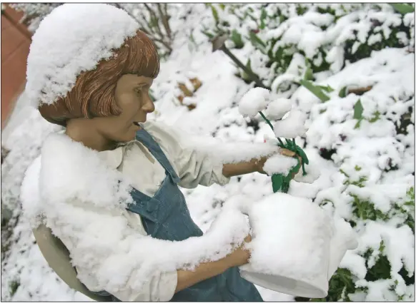  ?? (Democrat-Gazette file photo) ?? Few of the many plants damaged by the snowstorm need immediate attention, but most should be left alone and assessed in the spring. “There, Now You Can Grow” by sculptor J. Seward Johnson was snowcapped in 2013 at Walton Arts Center in Fayettevil­le.