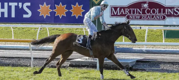  ?? PHOTO: RACE IMAGES SOUTH ?? Coast to coast . . . Shaun Fannin celebrates as West Coast wins the Grand National Steeplecha­se at Riccarton on Saturday.