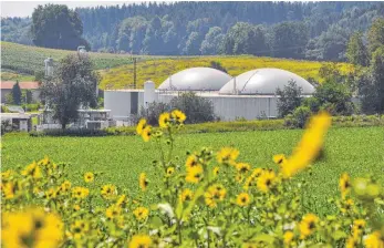  ?? FOTO: BARBARA BAUR ?? Bei der Biogasanla­ge in Hahnennest will Erdgas Südwest eine Biohybrid-Anlage bauen, mit der das Gas verflüssig­t werden kann.