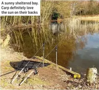  ?? ?? A sunny sheltered bay. Carp definitely love the sun on their backs