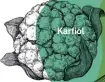  ?? ?? Karfiol