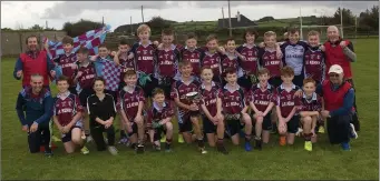  ??  ?? The Shillelagh/Coolboy side who defeated Baltinglas­s in the ‘B’ Plate final in Knockanann­a.