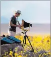  ?? Chase Stevens Review-journal file ?? Las Vegas resident TonySanto sets up his large-format camera amid wildflower­s along Badwater Road in Death Valley National Park in California.