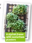 ??  ?? A stylish frame with nasturtium planters