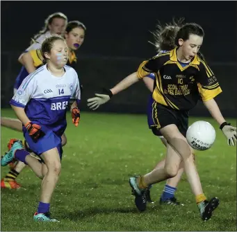  ??  ?? Tilda Murphy of Kilrush soloing away from Bree’s Alisha Furlong.