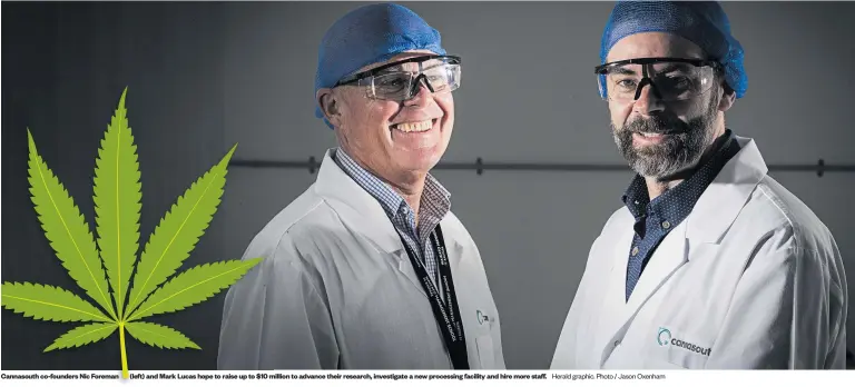  ?? Herald graphic. Photo / Jason Oxenham ?? Cannasouth co-founders Nic Foreman (left) and Mark Lucas hope to raise up to $10 million to advance their research, investigat­e a new processing facility and hire more staff.