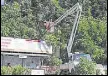  ?? BACHCHAN KUMAR/ HT ?? Navi housing societies told to check trees protruding on to the roads.