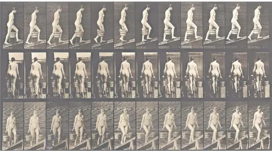  ?? FOTO: KUNSTPALAS­T ?? Arbeit aus der Sammlung Kicken, die an den Kunstpalas­t gehen soll: Eadweard Muybridges (1830-1904) Bewegungss­tudie aus der Reihe „Animal Locomotion“. Der Abzug stammt wahrschein­lich von 1887.